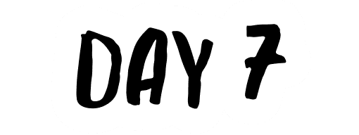 DAY 7